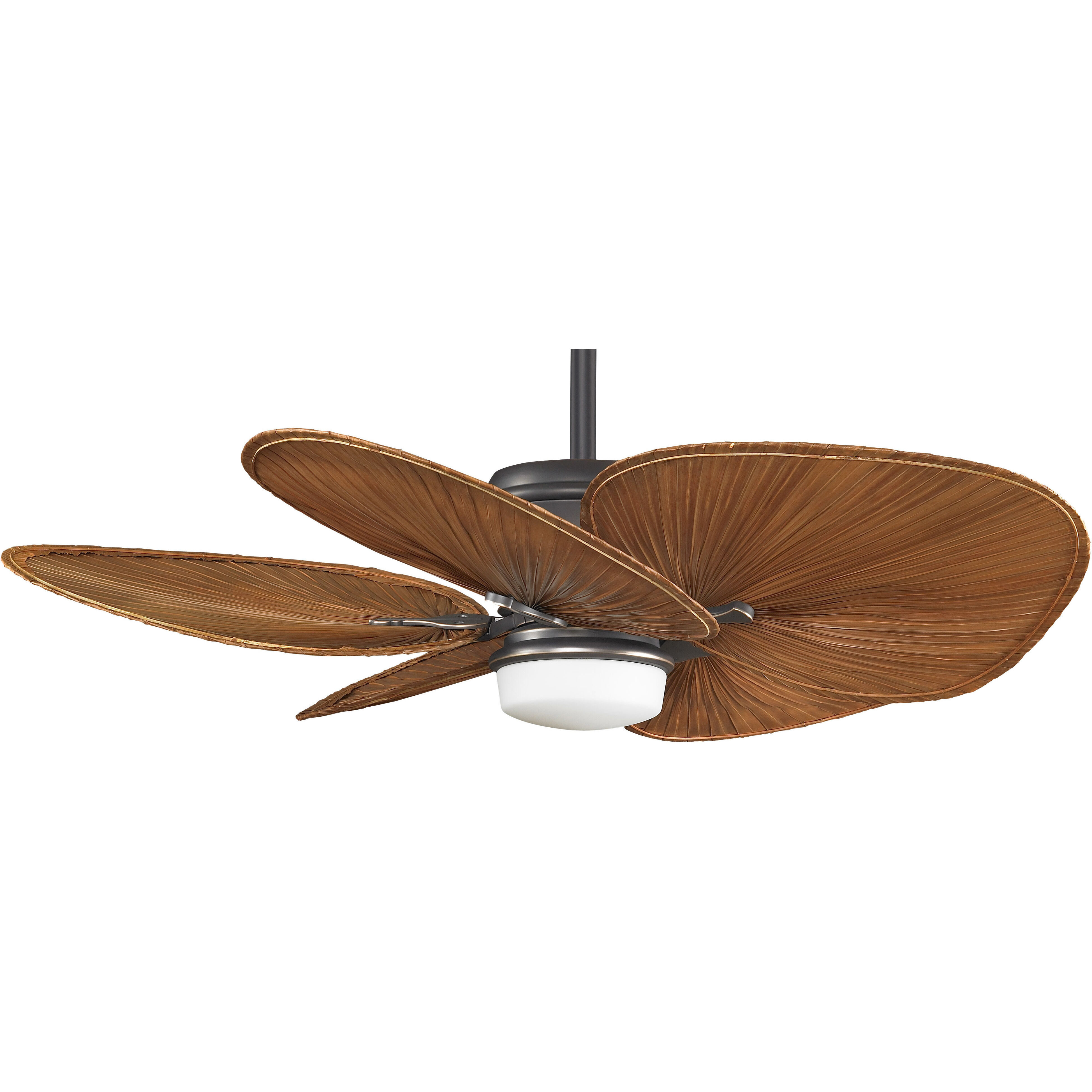 Blades Palm Natural Palm 22 inch Each Fan Blades