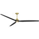 Spitfire LED Brushed Satin Fan Light in Brushed Satin Brass