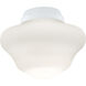 myFanimation Opal Frosted Fan Light