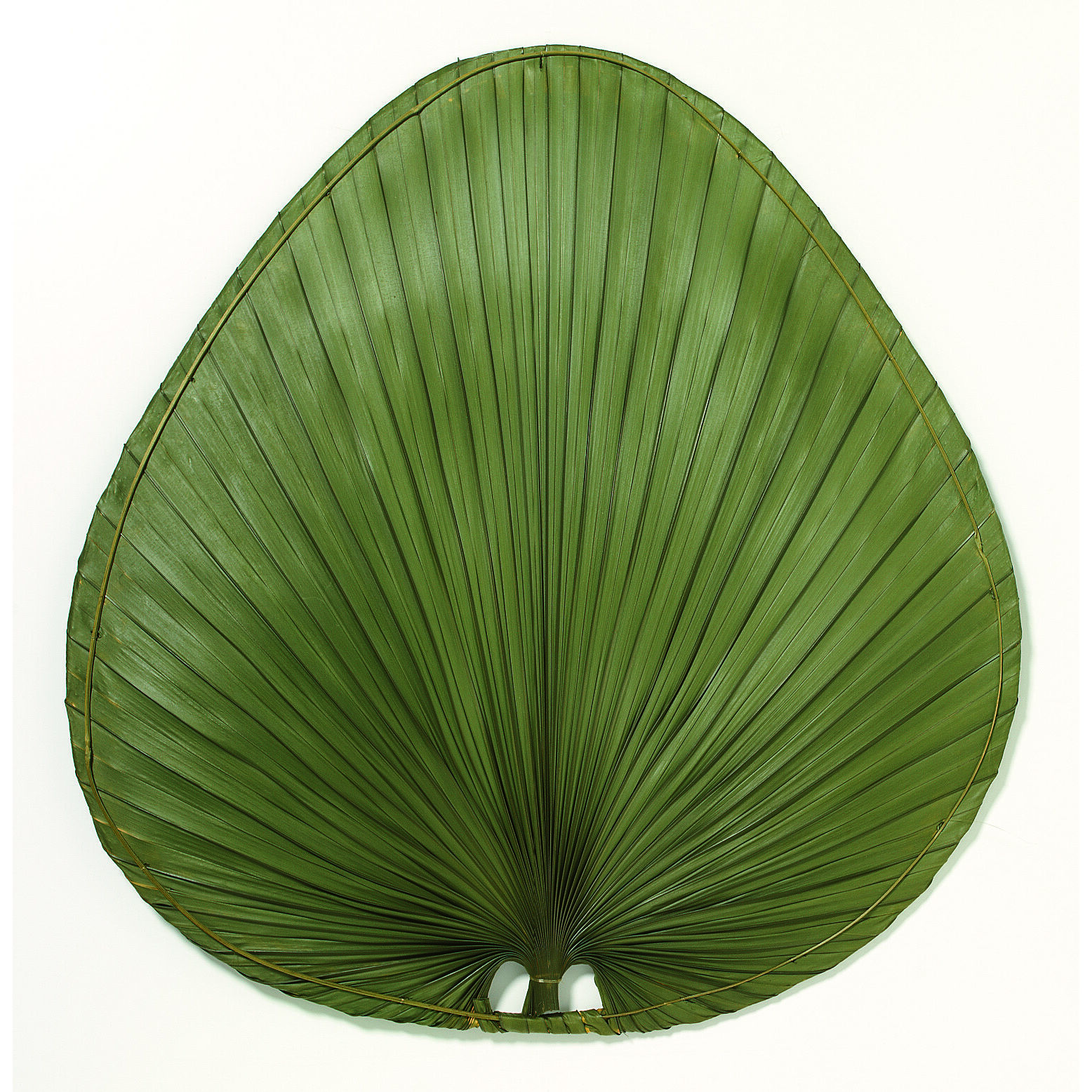 Blades Palm Natural Palm 22 inch Each Fan Blades