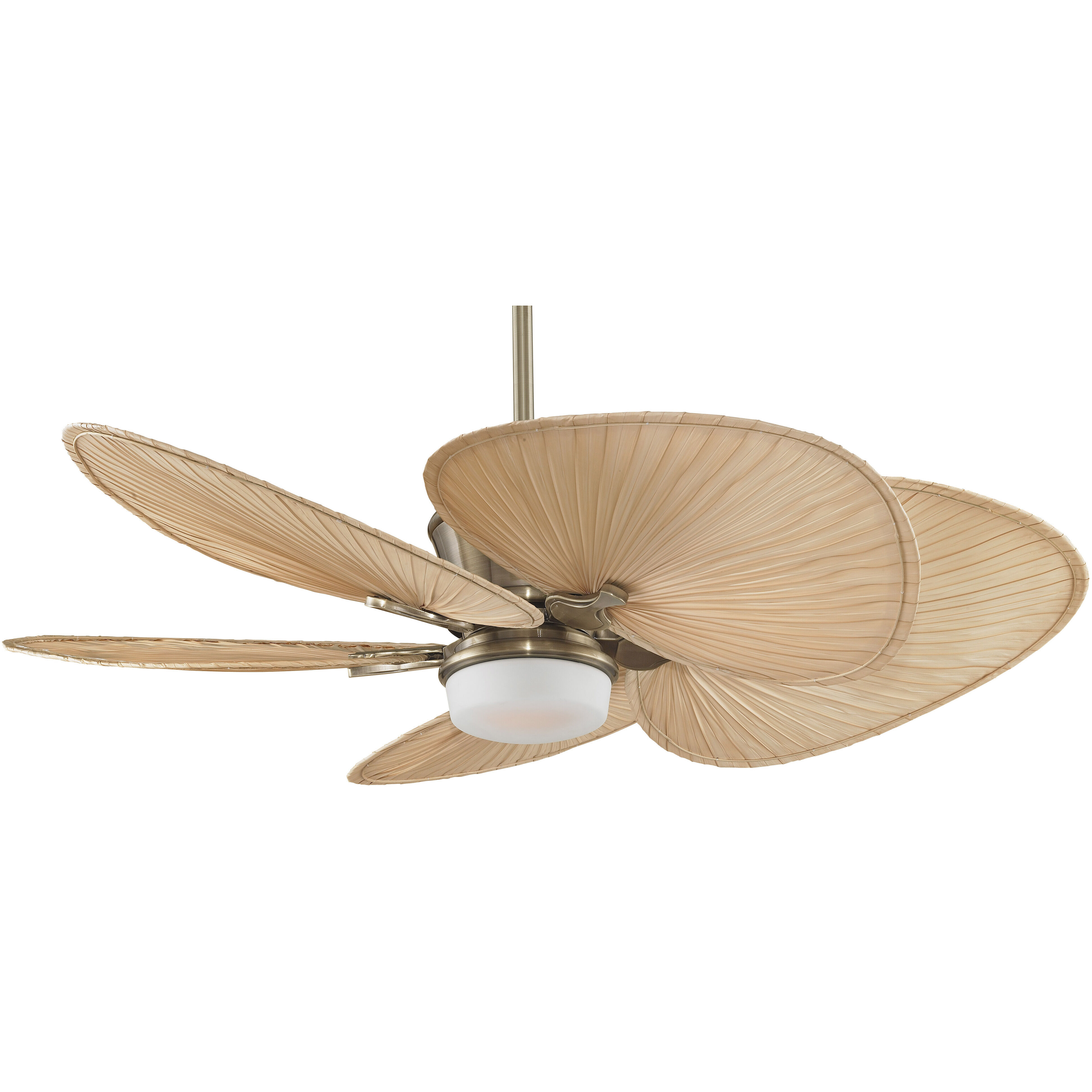 Blades Palm Natural Palm 22 inch Each Fan Blades
