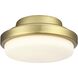 TriAire Custom 1 Light Brushed Satin Brass Fan Light