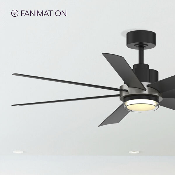 Pendry 56 inch Black Fan-Uni