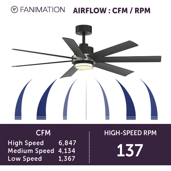 Pendry 56 inch Black Fan-Uni