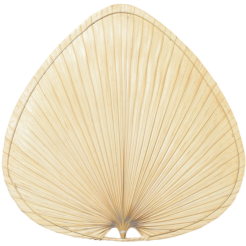 Blades Palm Natural Palm 22 inch Each Fan Blades