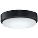 Levon Custom 1 Light Black Fan Light