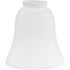 myFanimation Opal Frosted Shiny Fan Light