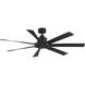 Breece 60 inch Black Indoor/Outdoor Ceiling Fan