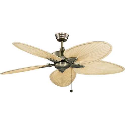 Windpointe 52 inch Antique Brass with Narrow Oval Natural Palm Blades Indoor/Outdoor Ceiling Fan, FItter needs to be ordered also if getting glass F423