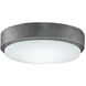 Levon Custom 1 Light Galvanized Fan Light
